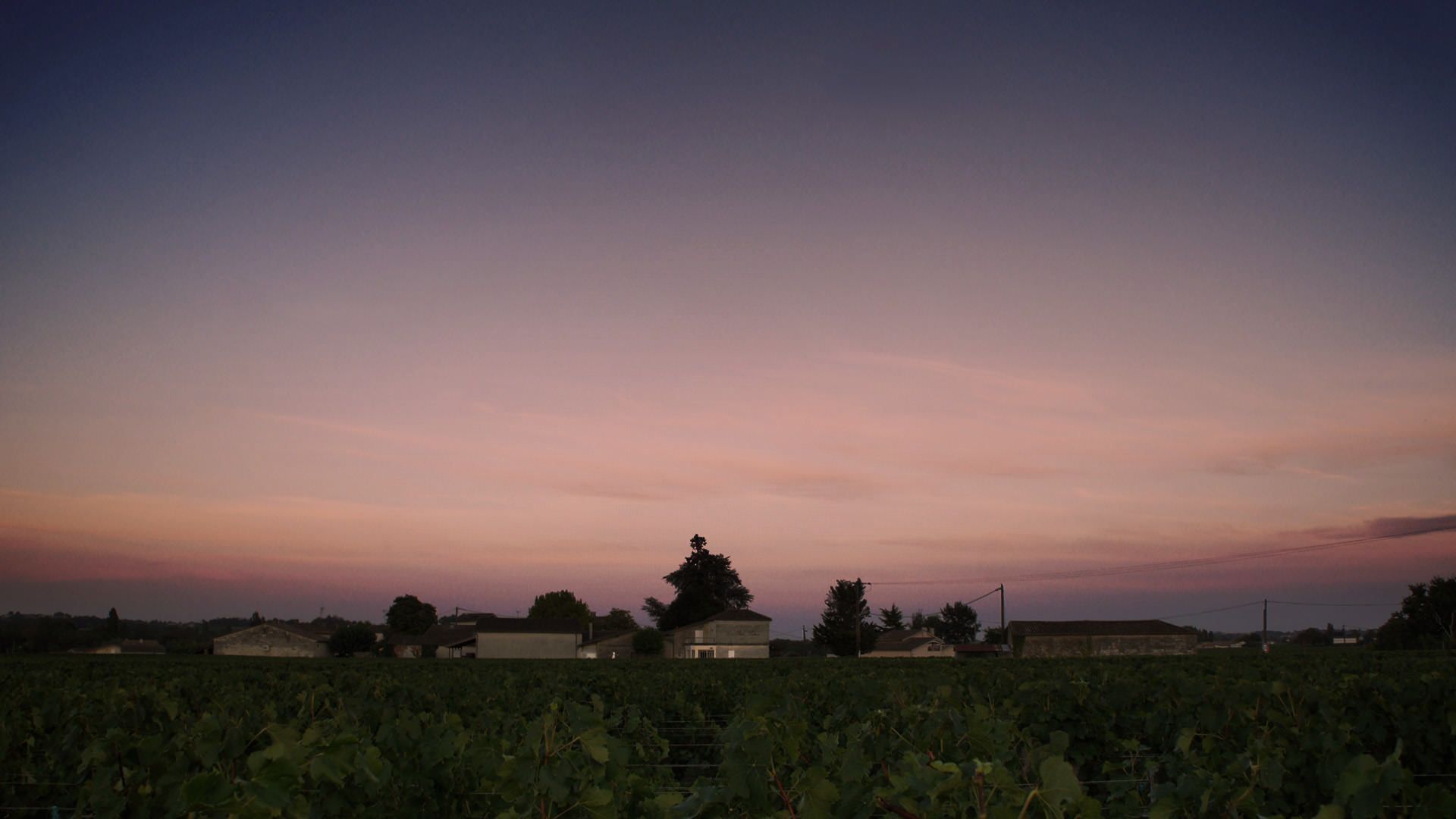 Château le Bon Pasteur — photo 2