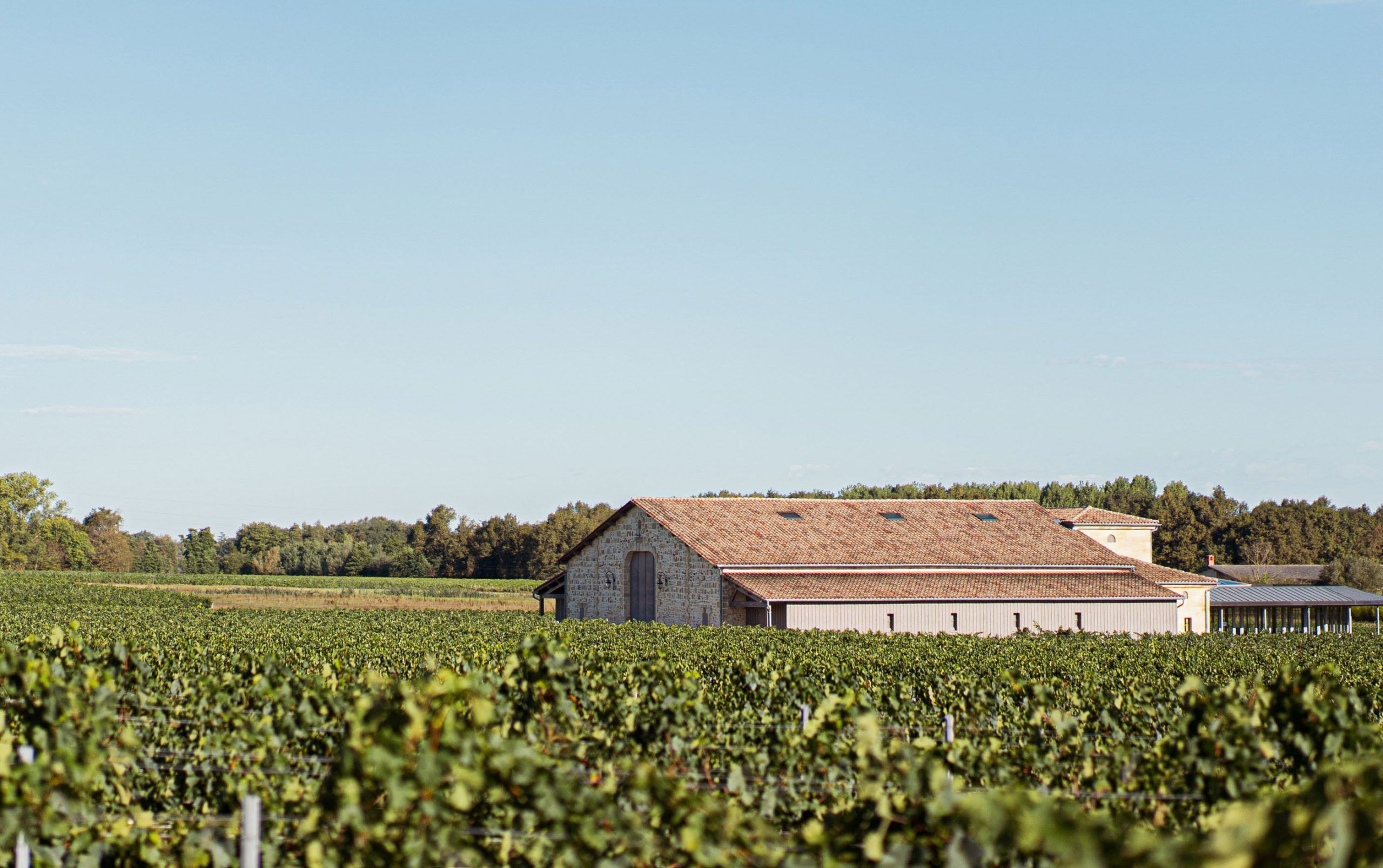 Château Toulouze - Graves de Vayres