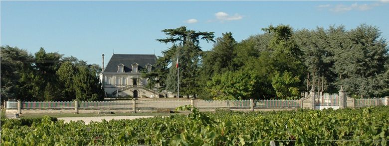 Chateau Maison Blanche iDealwine Bordeaux Despagne 1