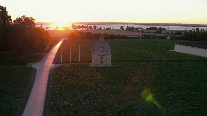Château Latour Camblanes - Cadillac Côtes de Bordeaux