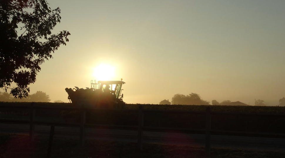 Domaine du Rouyet — photo 1