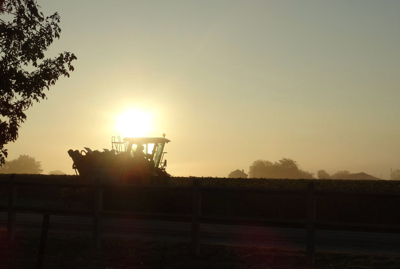 Domaine du Rouyet — photo principale