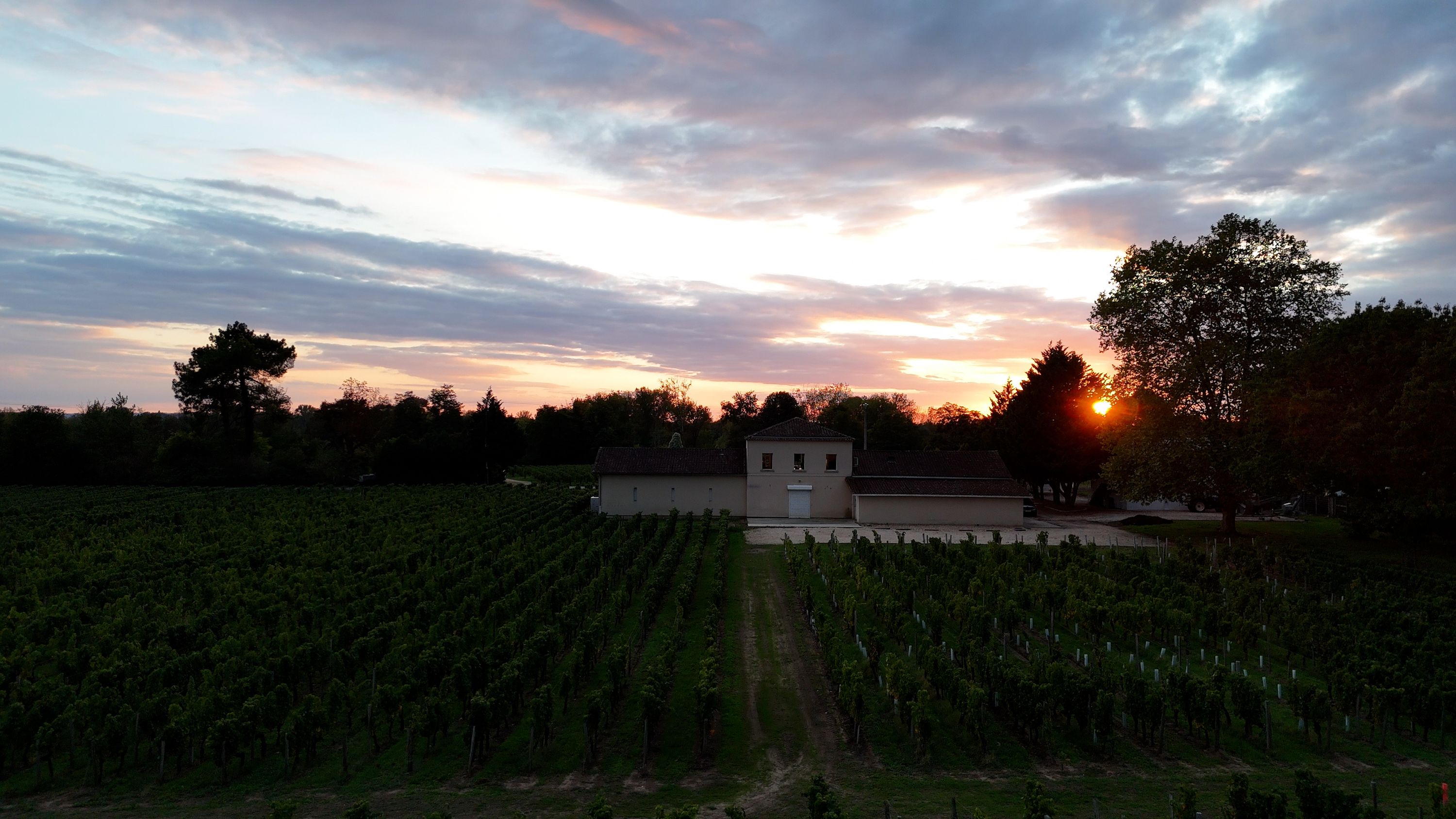 Château L'Hermitage Lescours Estate