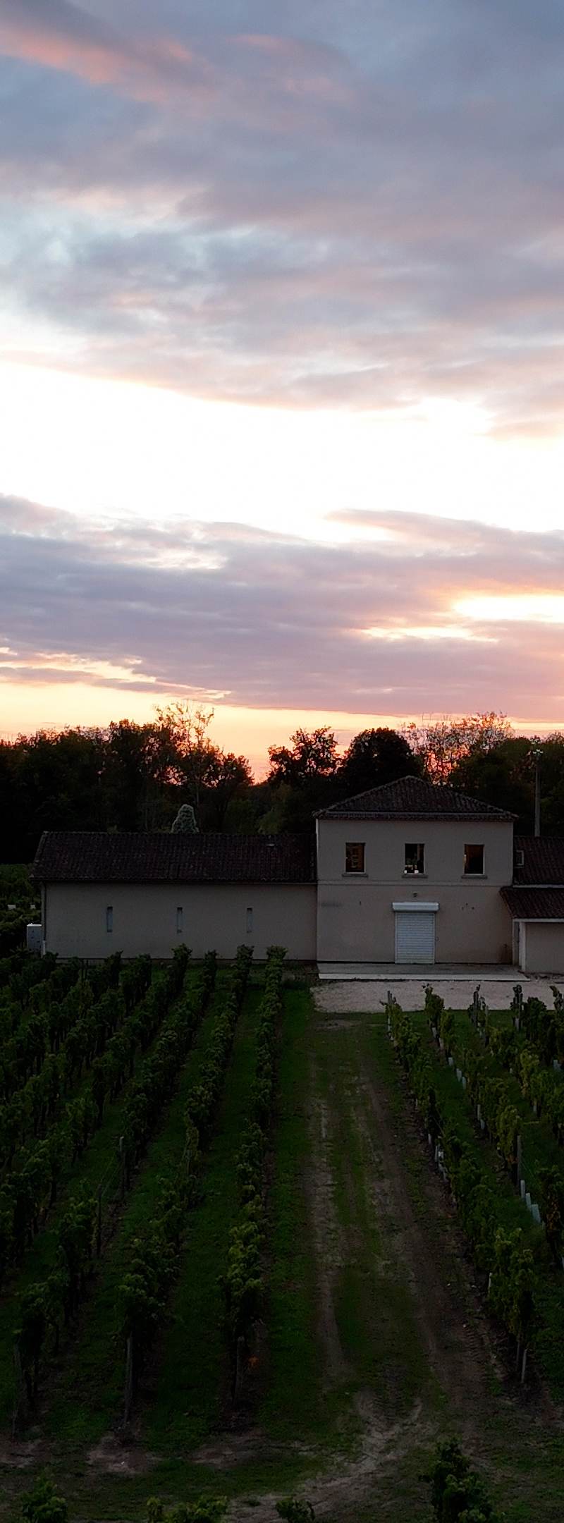 Château L'Hermitage Lescours Estate