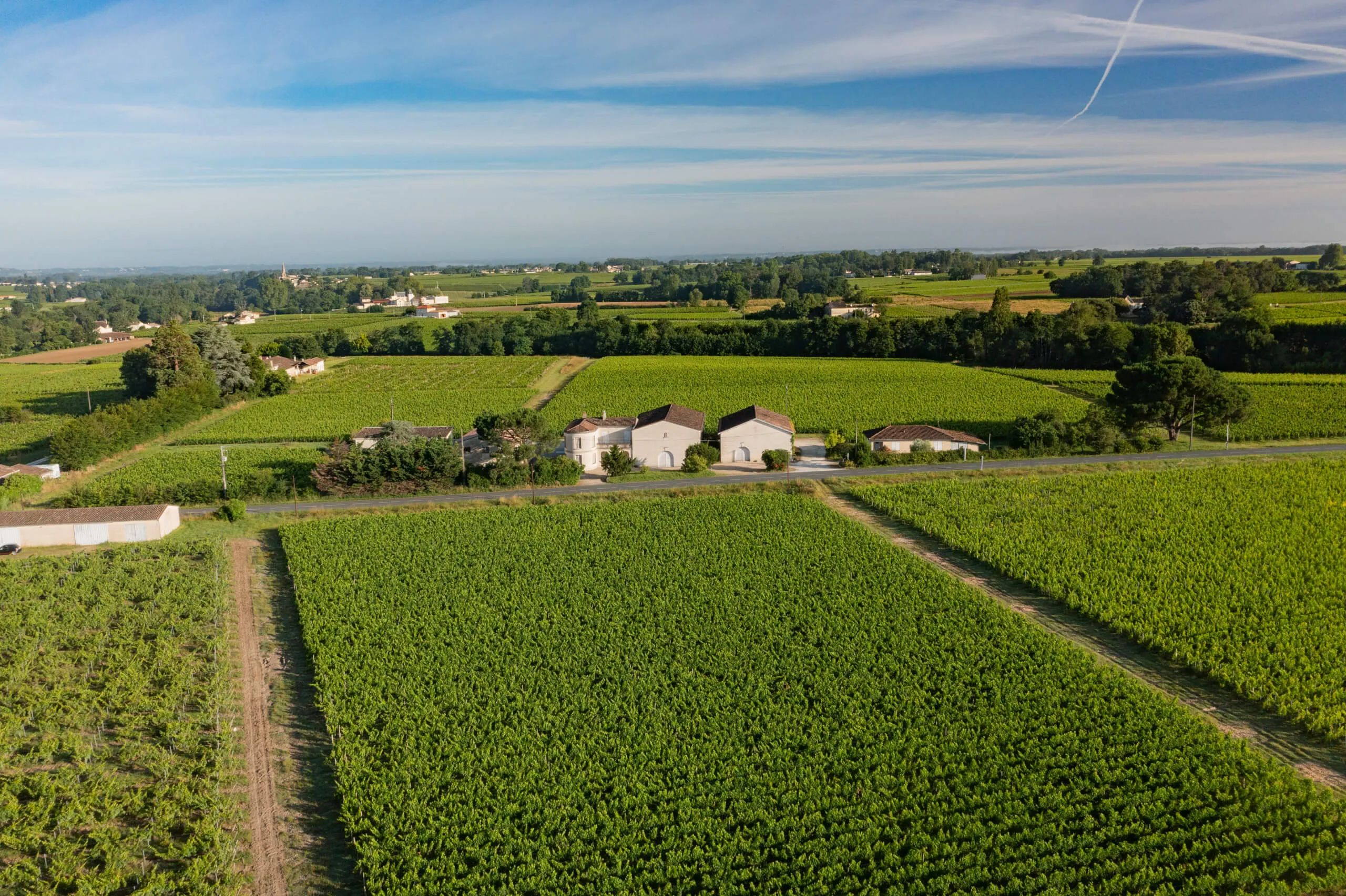 Château Plaisance (Montagne) - Montagne-Saint-Émilion