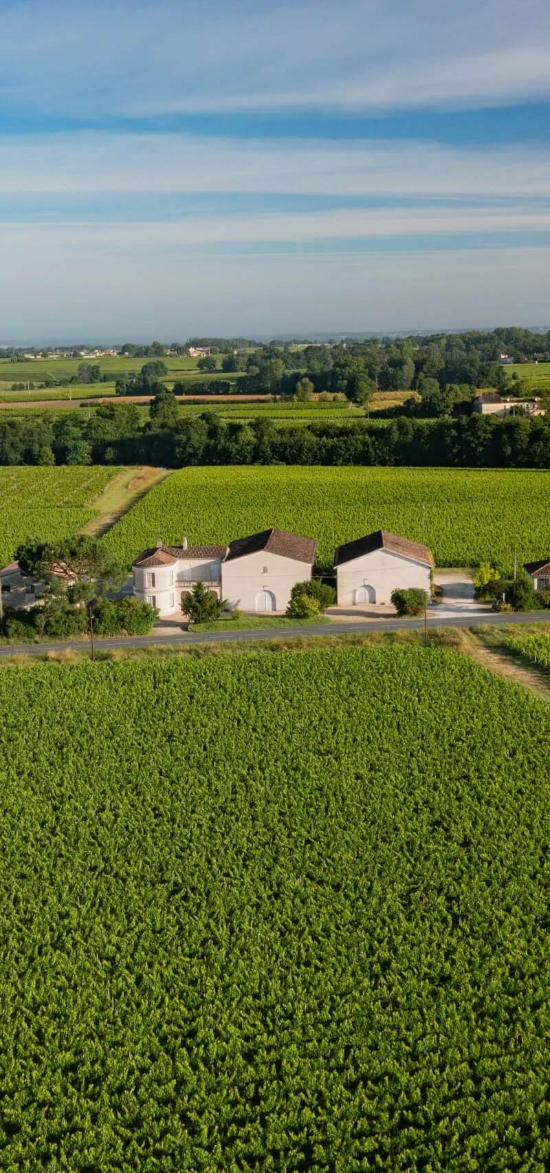 Vue Aerienne du Château-Plaisance, Propriété de la famille Ducourt