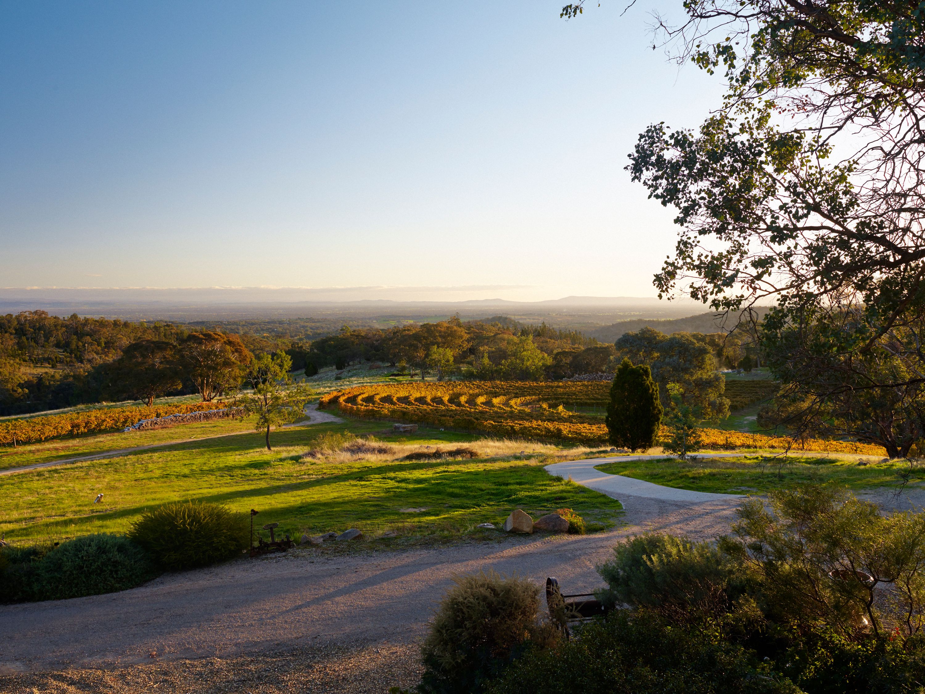 Château la Fleur-Pétrus - Pomerol