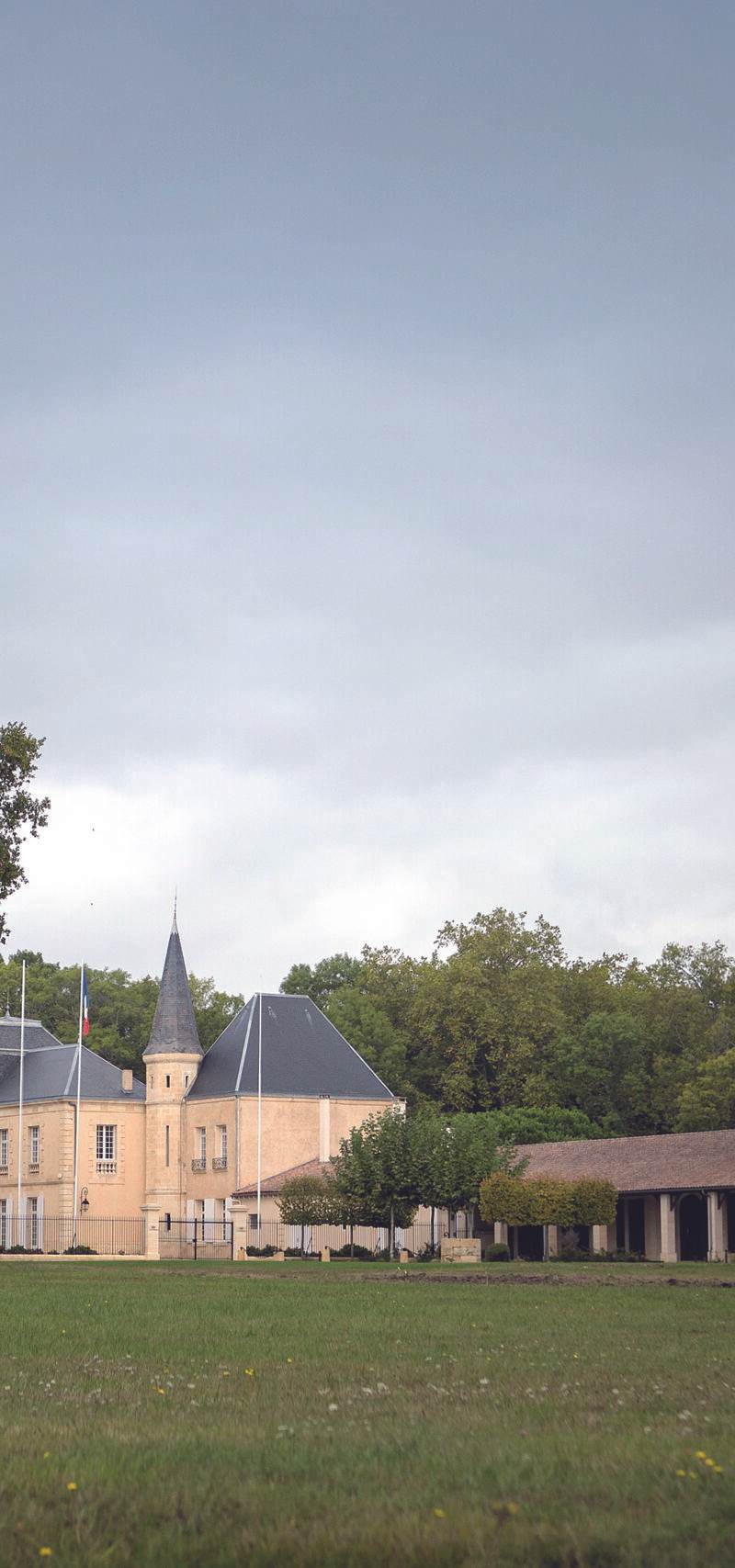 Château Lynch-Moussas - Pauillac