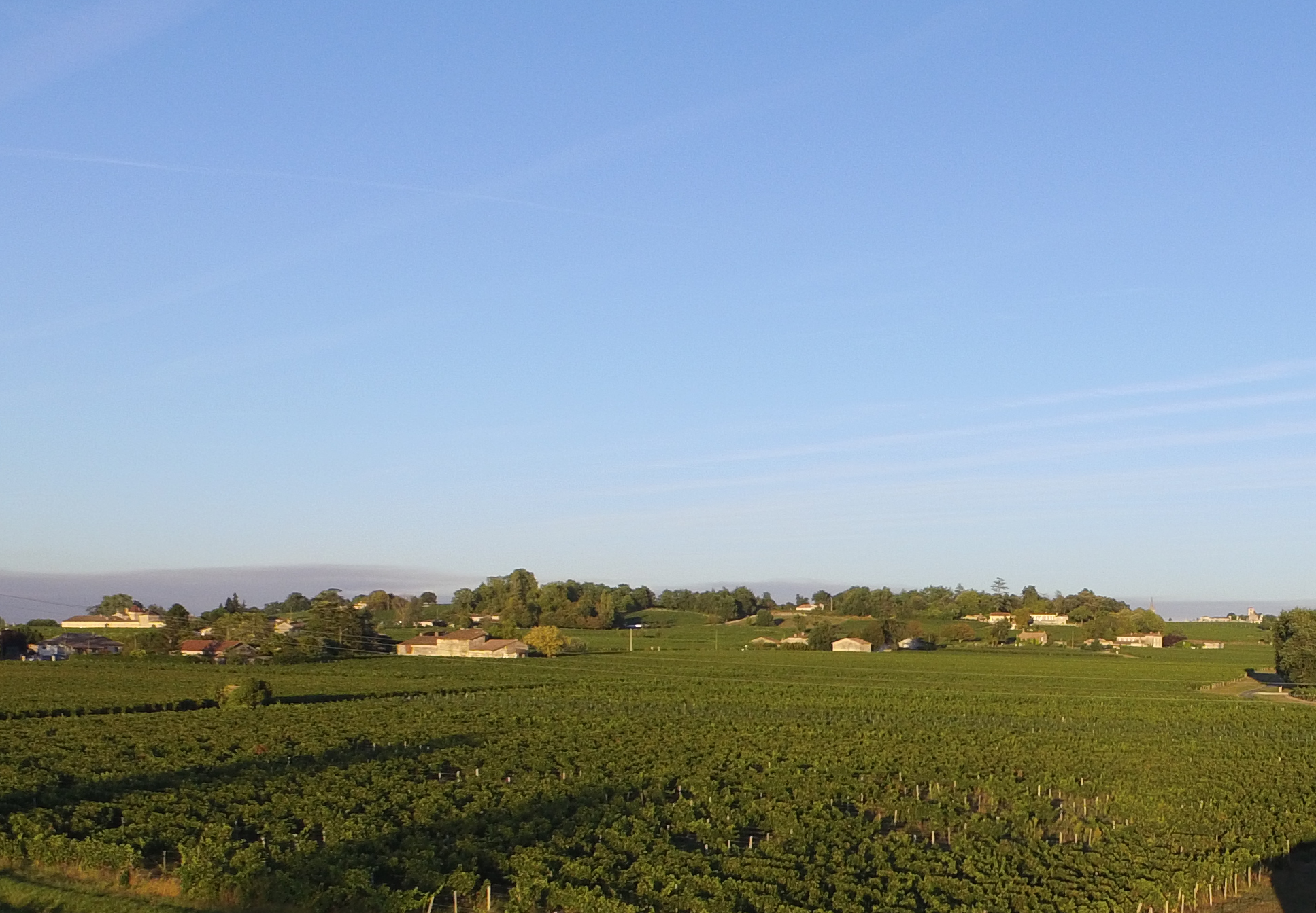 Château Chevalier Lescours - Saint-Émilion Grand Cru