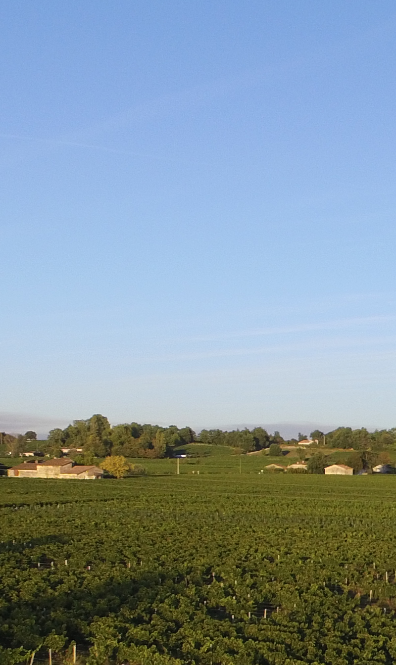 Château Chevalier Lescours — photo principale