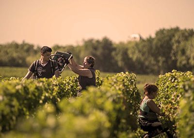 Château Sociando-Mallet - Haut-Médoc