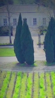 Château la Cardonne — photo 2