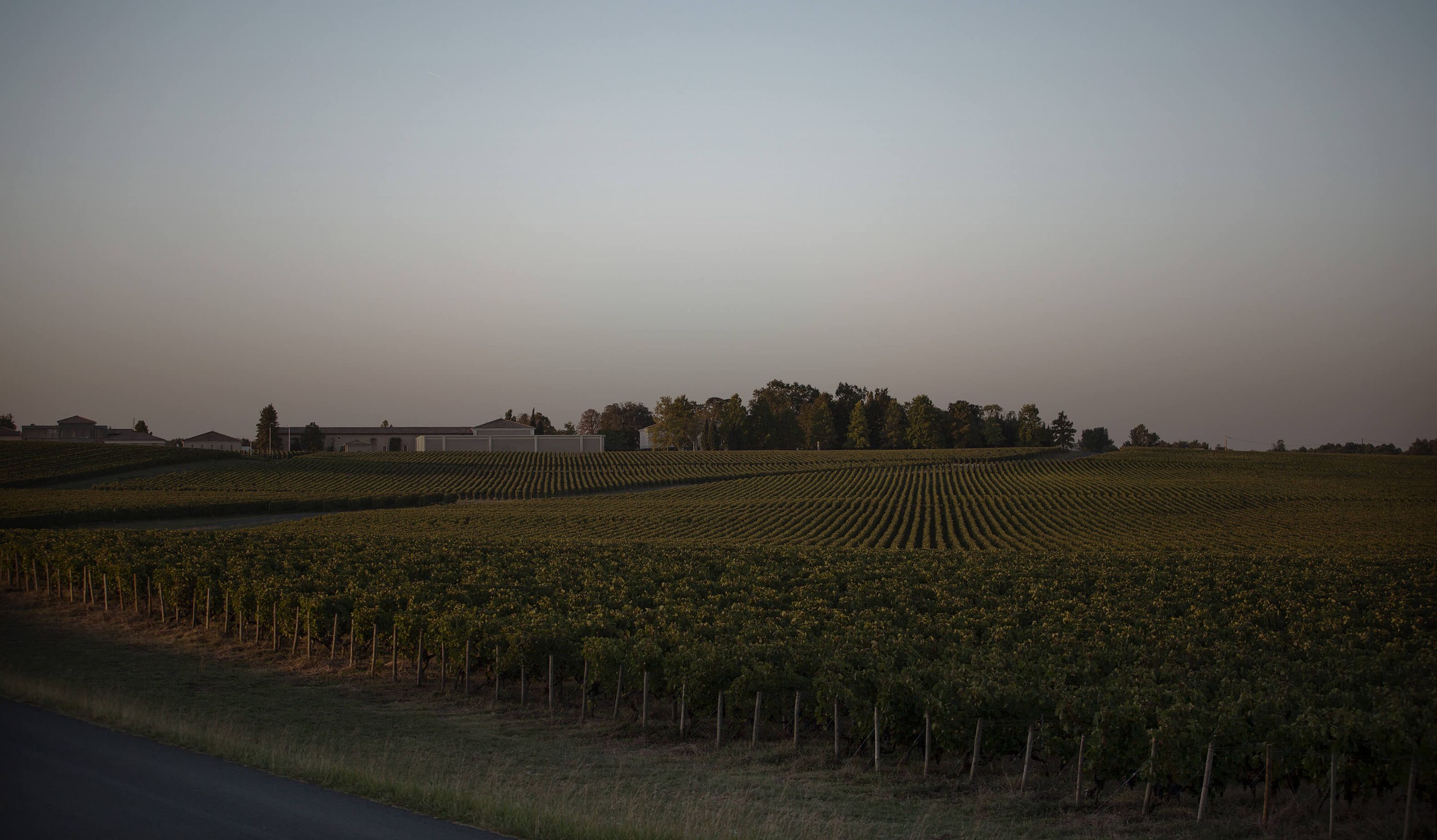 Château la Cardonne — photo 6
