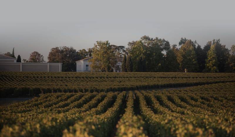 Château la Cardonne - Médoc