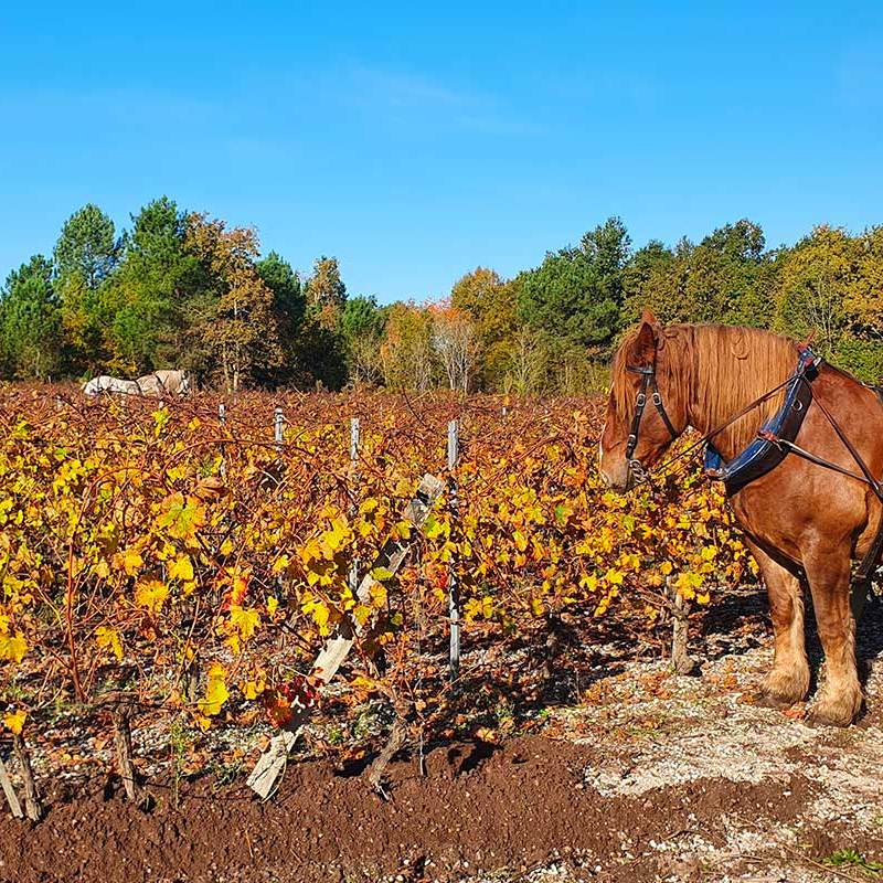 photo_domaine