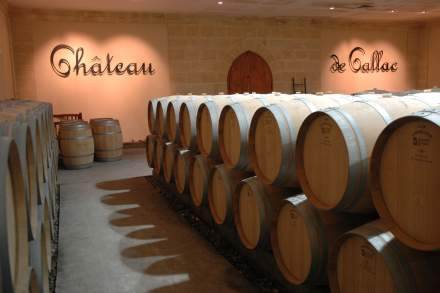 Château de Callac - Graves