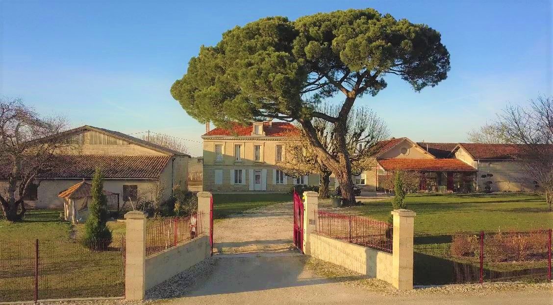 Château Belair Coubet - Côtes de Bourg