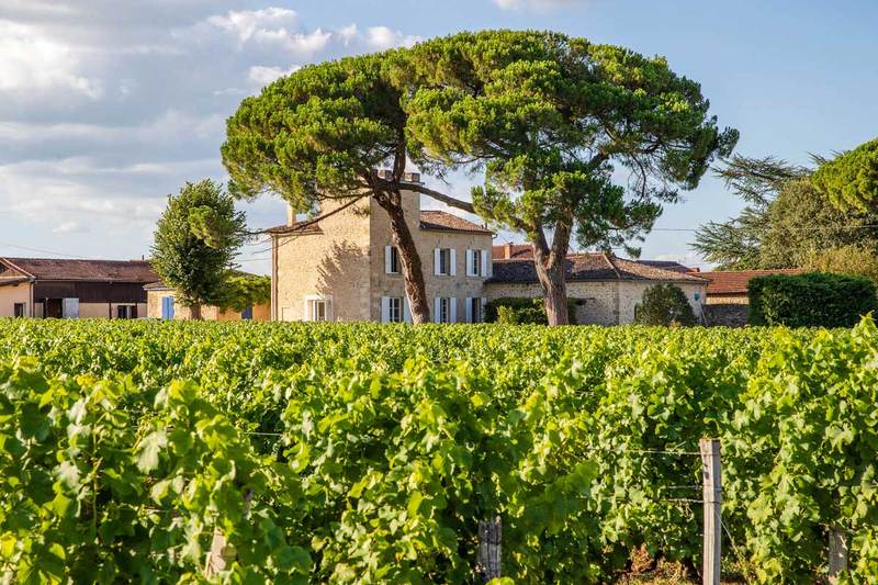 Château Closiot - Sauternes