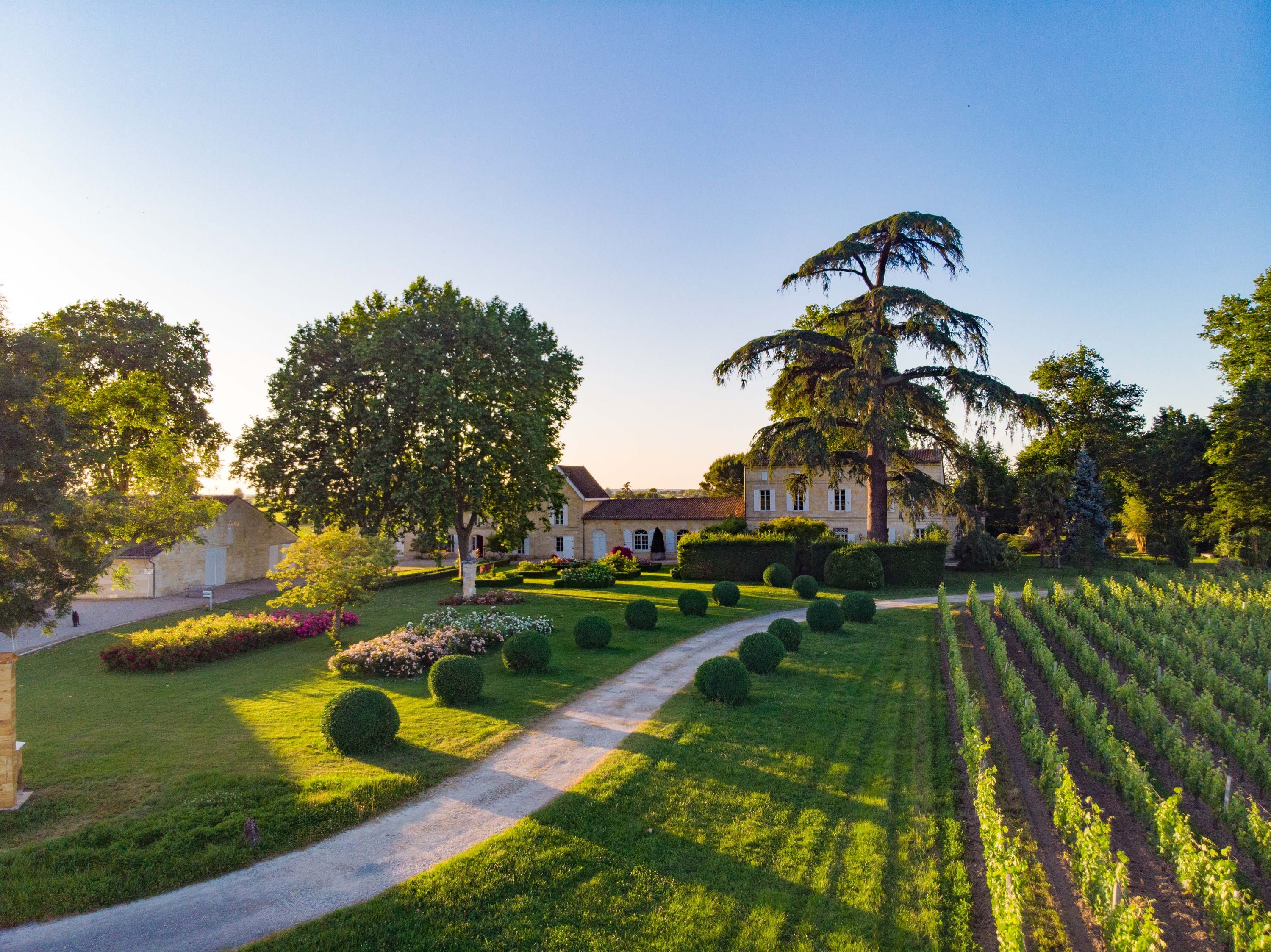 Château Jean Faure - Saint-Émilion Grand Cru
