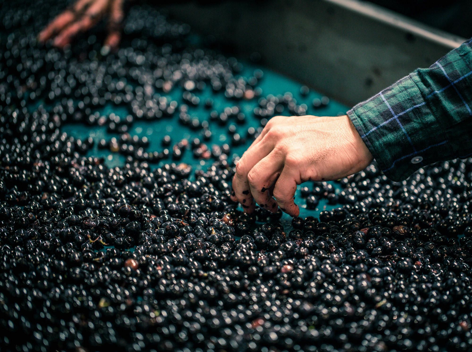 Clos Fourtet — photo 4