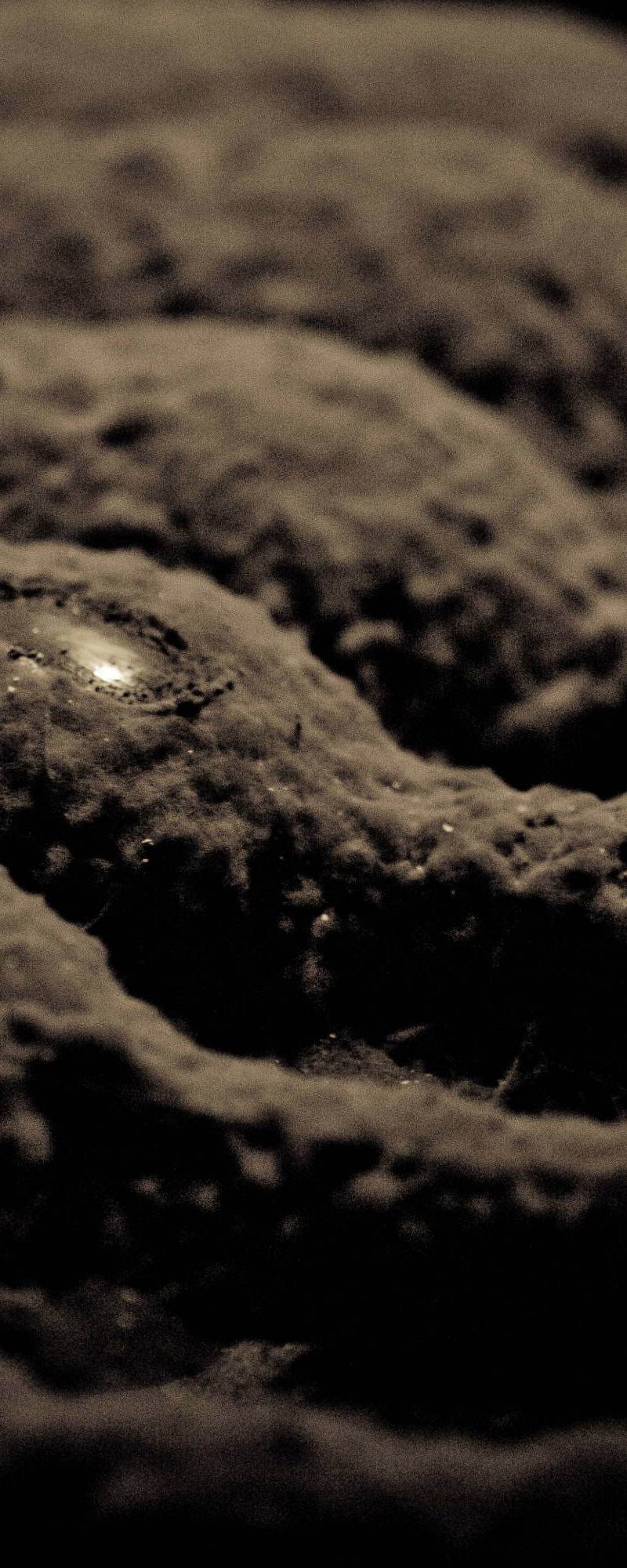 Clos Fourtet — photo principale