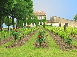 Clos Fourtet — photo 12