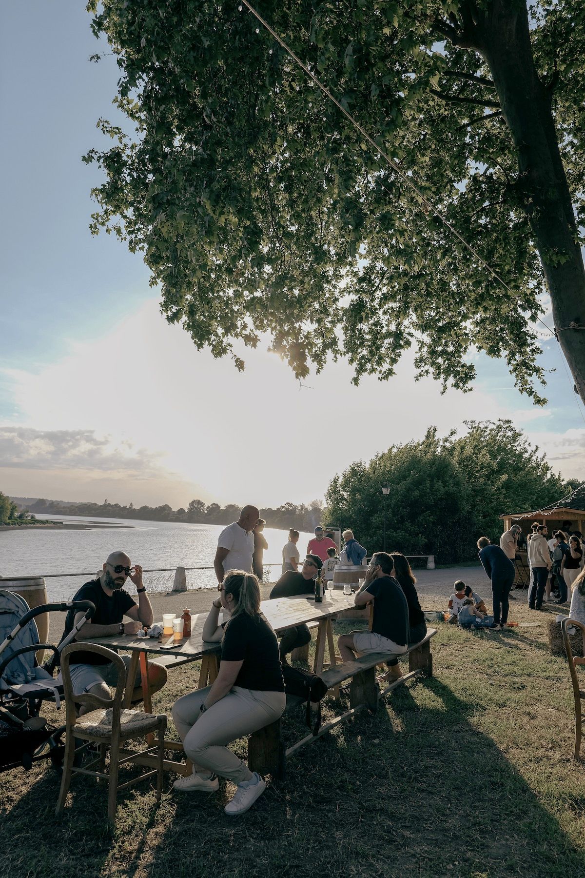 Vignobles Bardet — photo 8