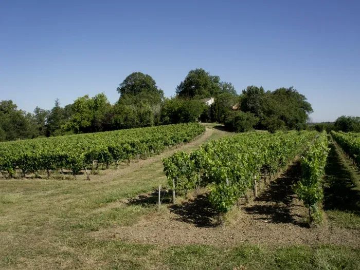 Château la Roseraie — photo 2