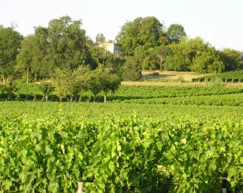 Château la Roseraie — photo principale