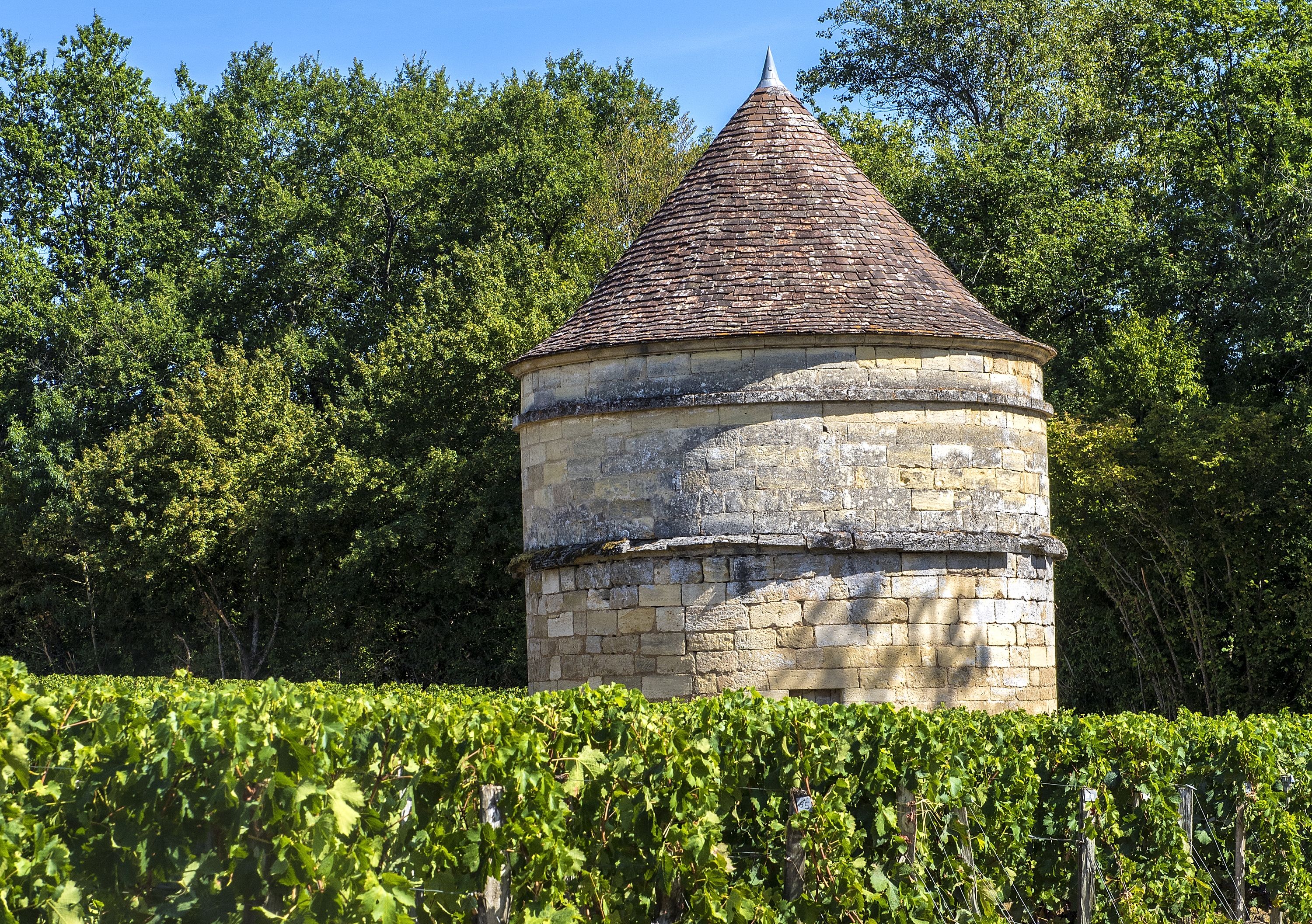 Château d'Aiguilhe - Castillon Côtes de Bordeaux