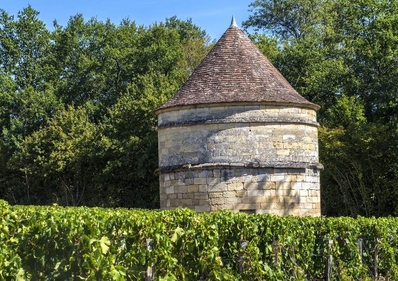Château d'Aiguilhe - Castillon Côtes de Bordeaux