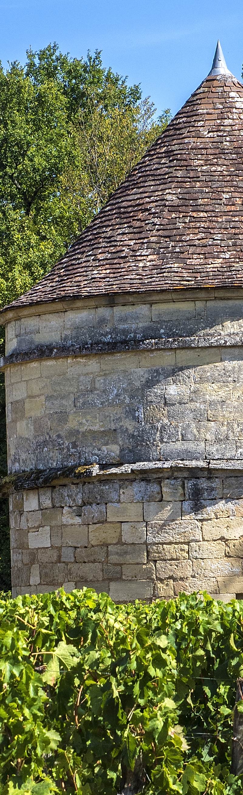 Château d'Aiguilhe - Castillon Côtes de Bordeaux
