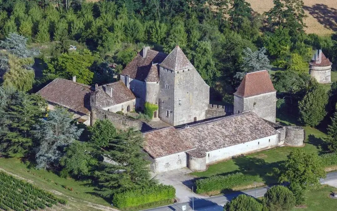 Château de Lavison — photo 6