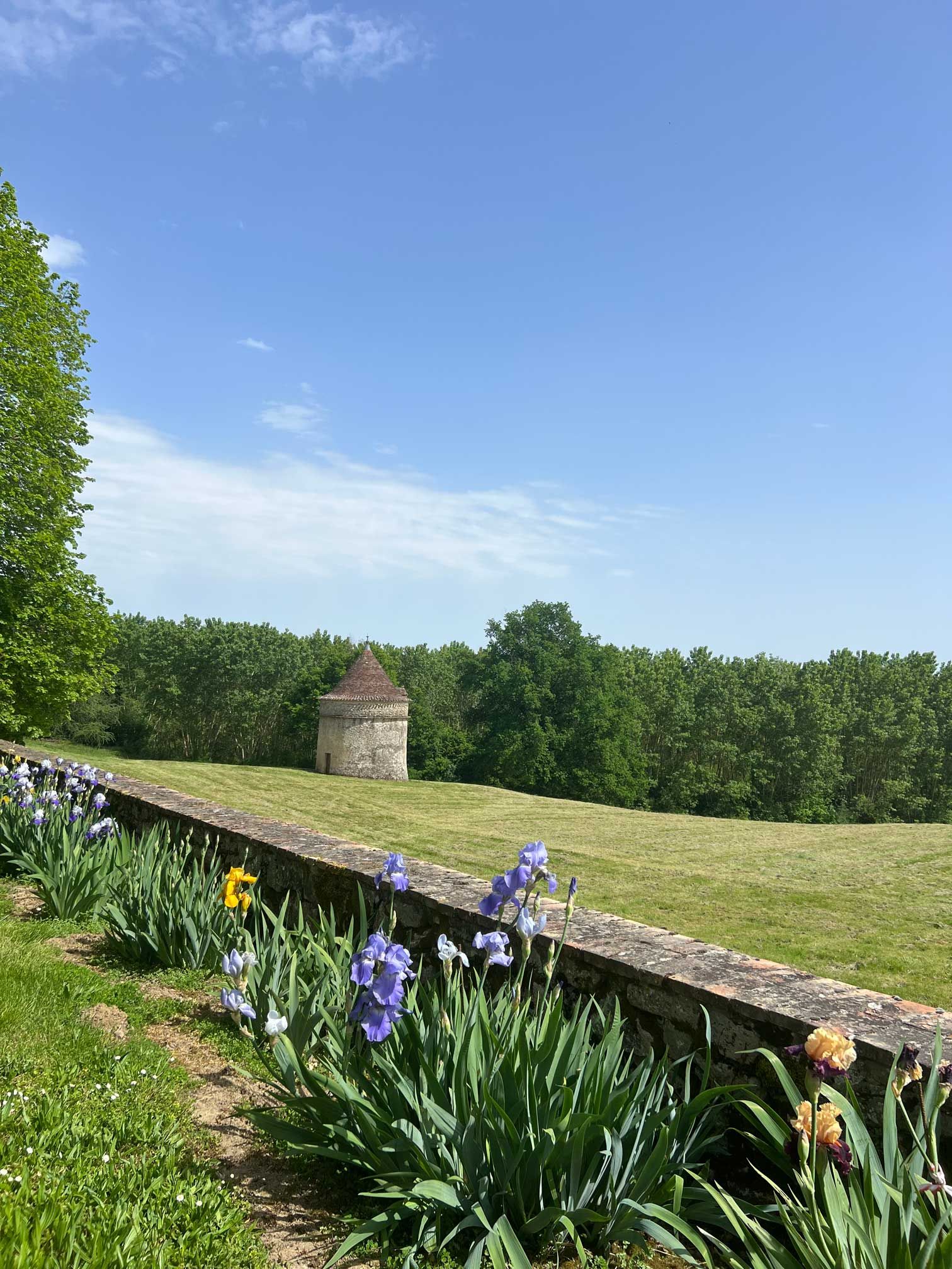 Château de Lavison — photo 5