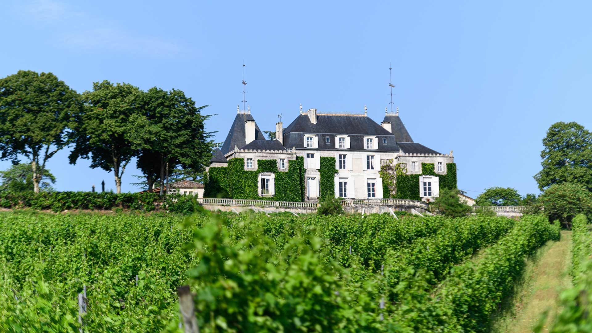 Château de Parenchère - Bordeaux Clairet