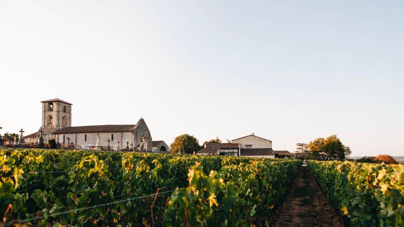 Clos Saint-Martin - Saint-Émilion