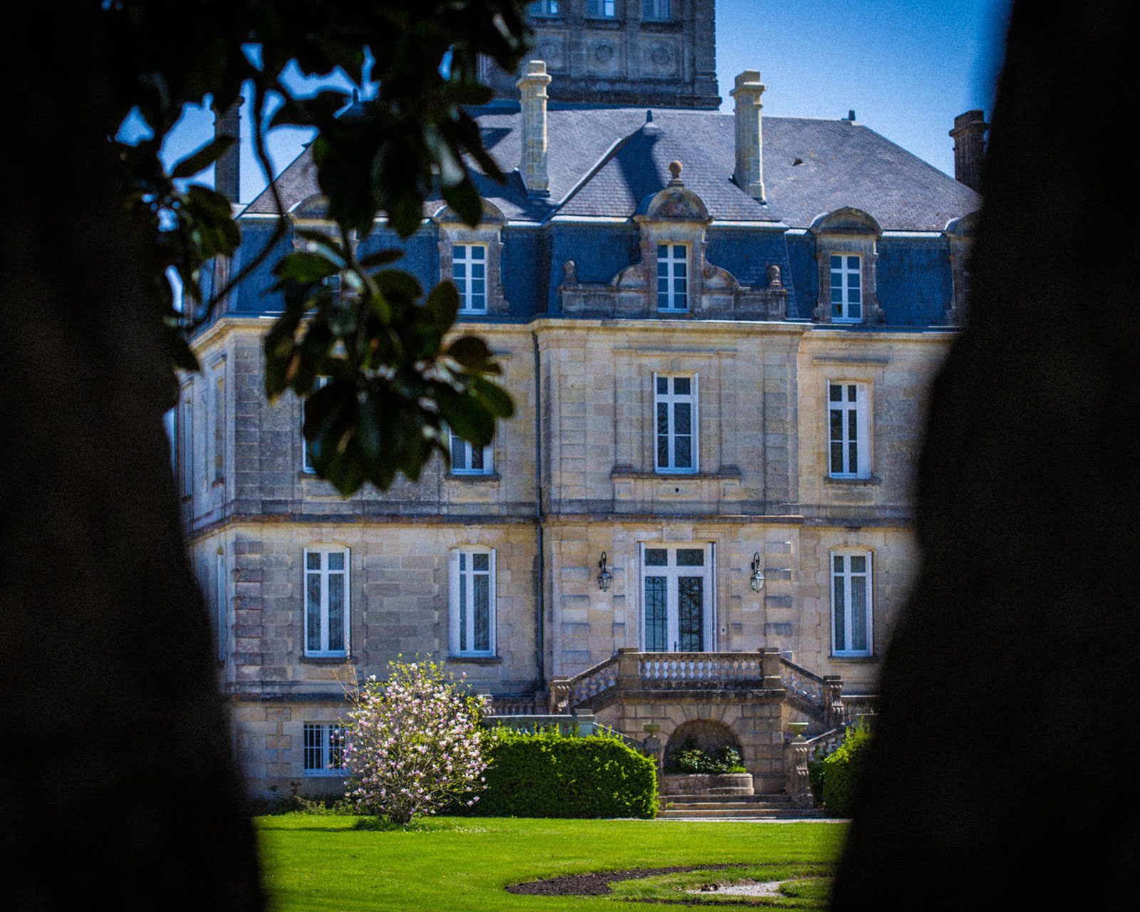 Château Larose-Perganson — photo 1