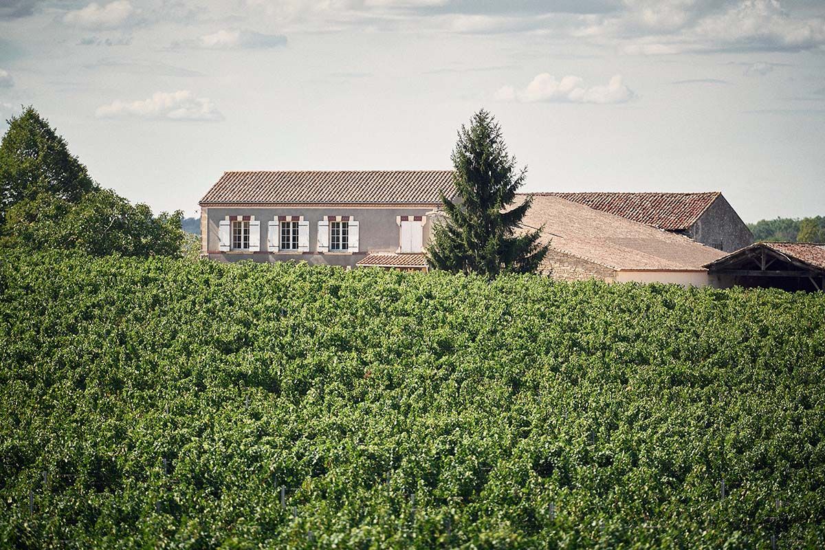 Château Bel-Air (Caplong) - Bordeaux