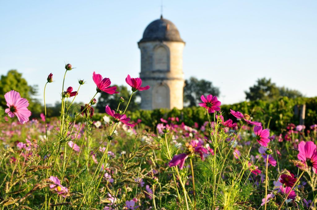 Tour de Gascq Château de Portets