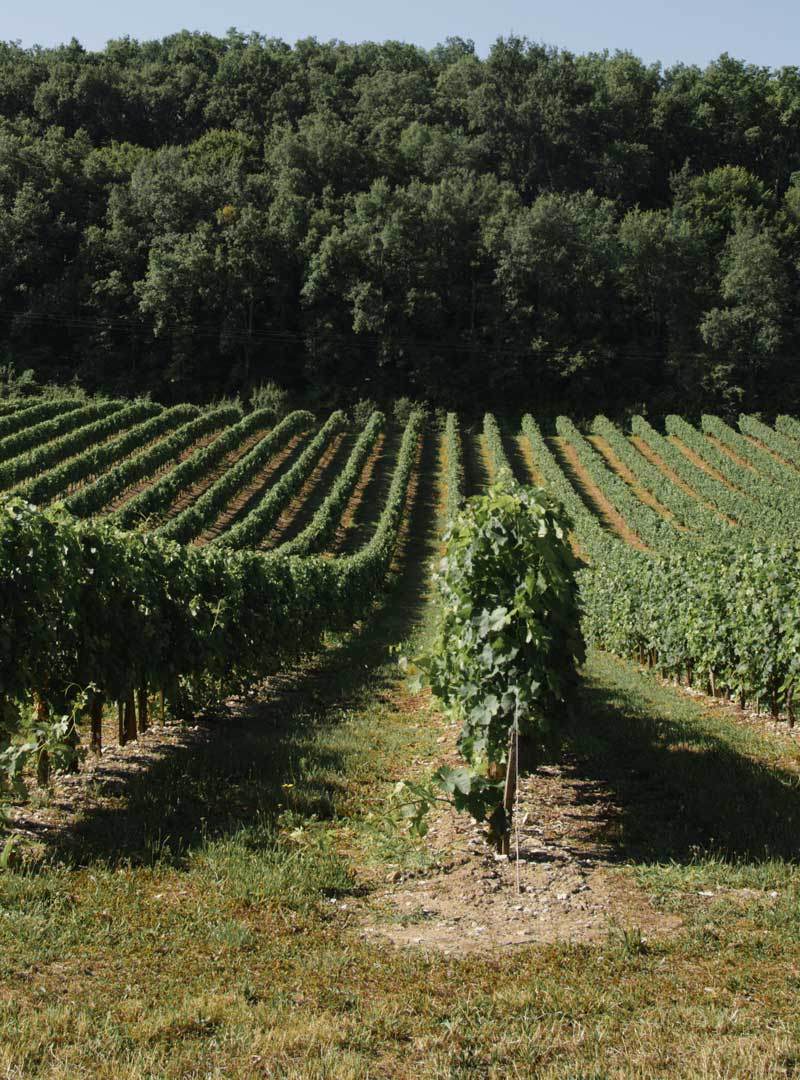Château Indépendance — photo principale
