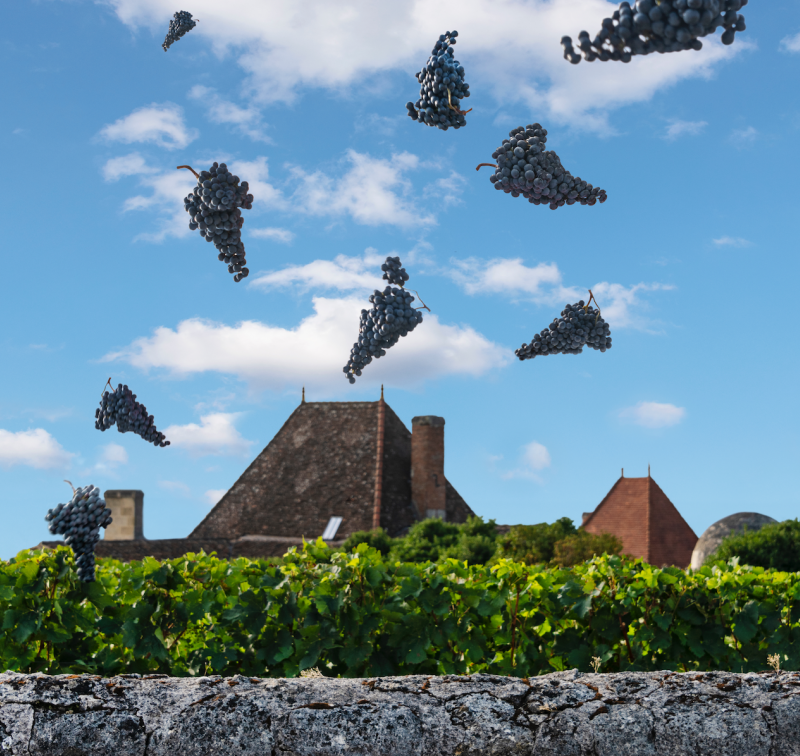 Château Bélair-Monange - Pomerol
