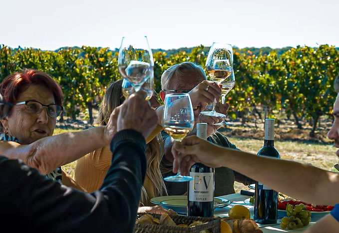 Photo d'un événement convivial a SIPIAN dans le Médoc