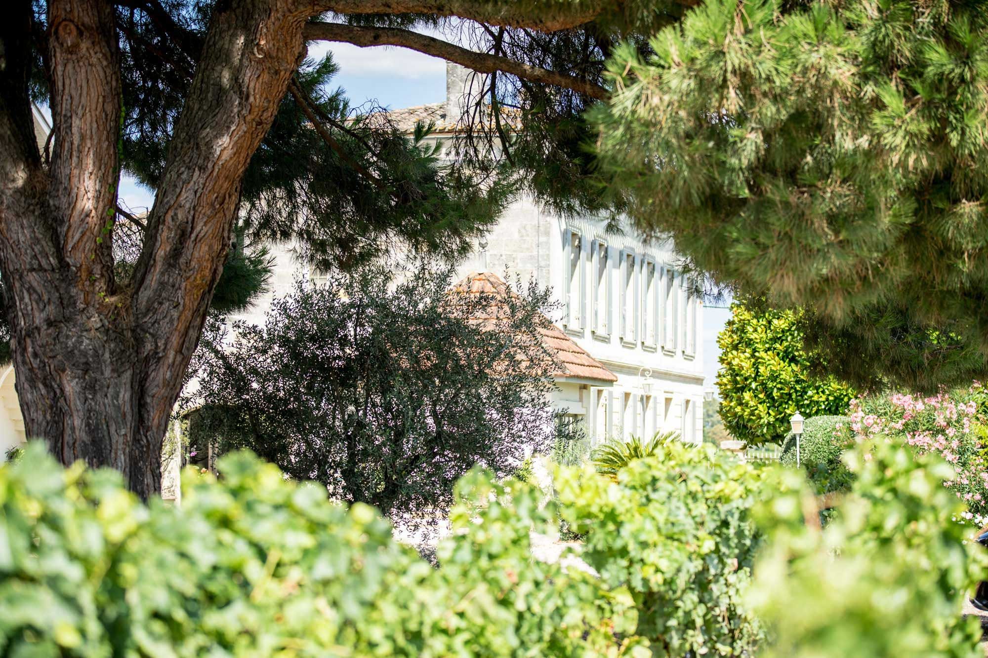 Château la Grâce Dieu les Menuts - Saint-Émilion