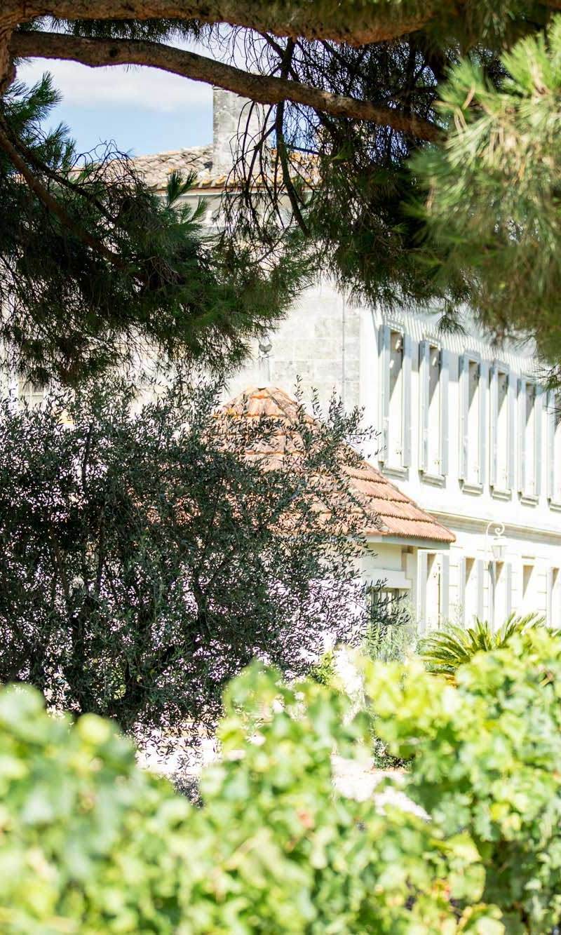 Château la Grâce Dieu les Menuts — photo principale