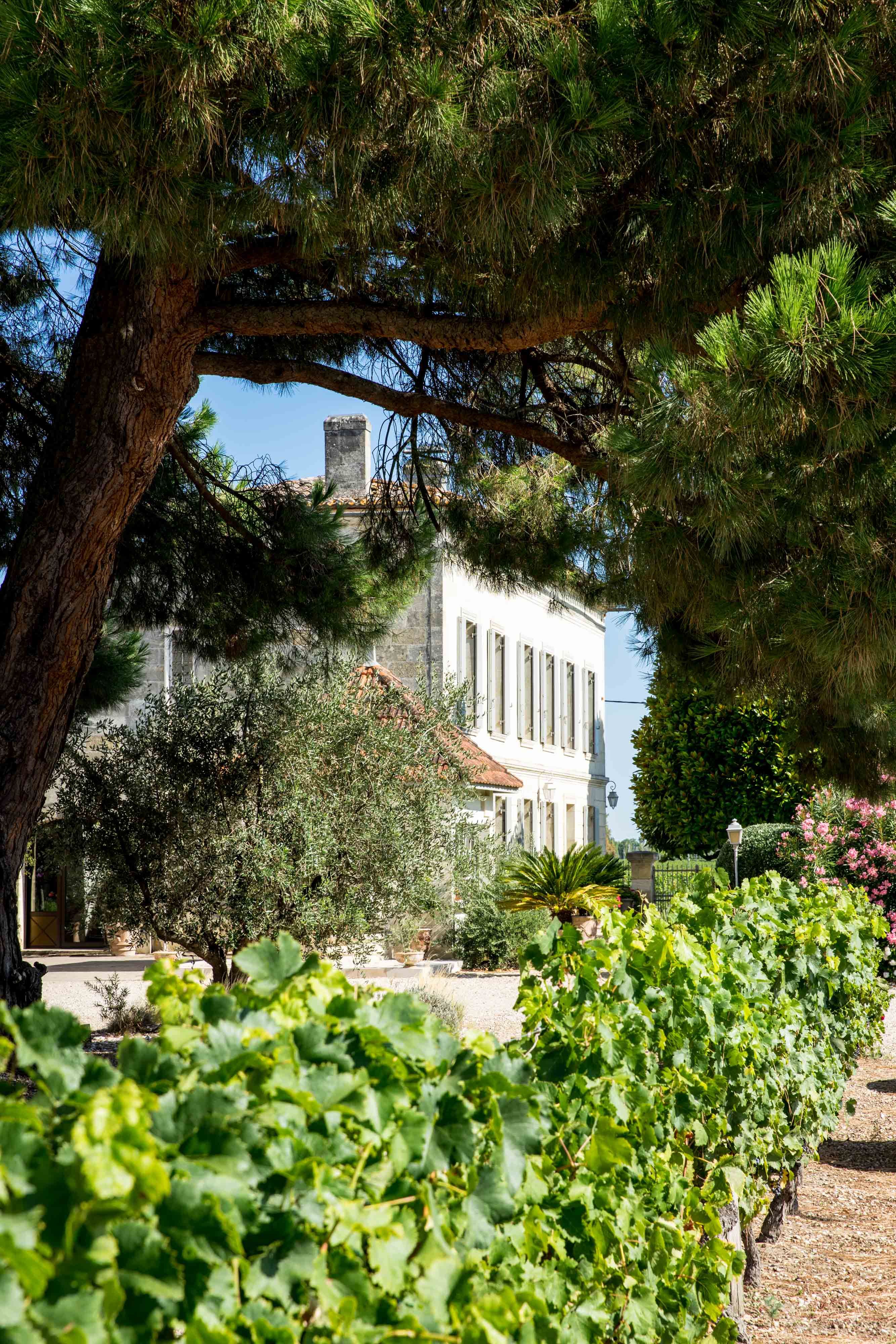 Château la Grâce Dieu les Menuts