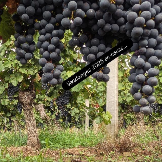 Photo — Château Mazeris