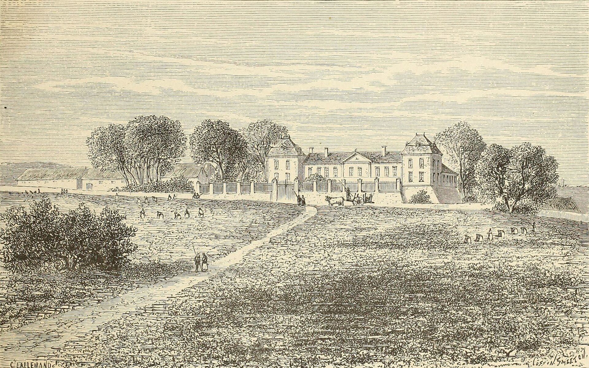 Château Calon-Ségur - Saint-Estèphe