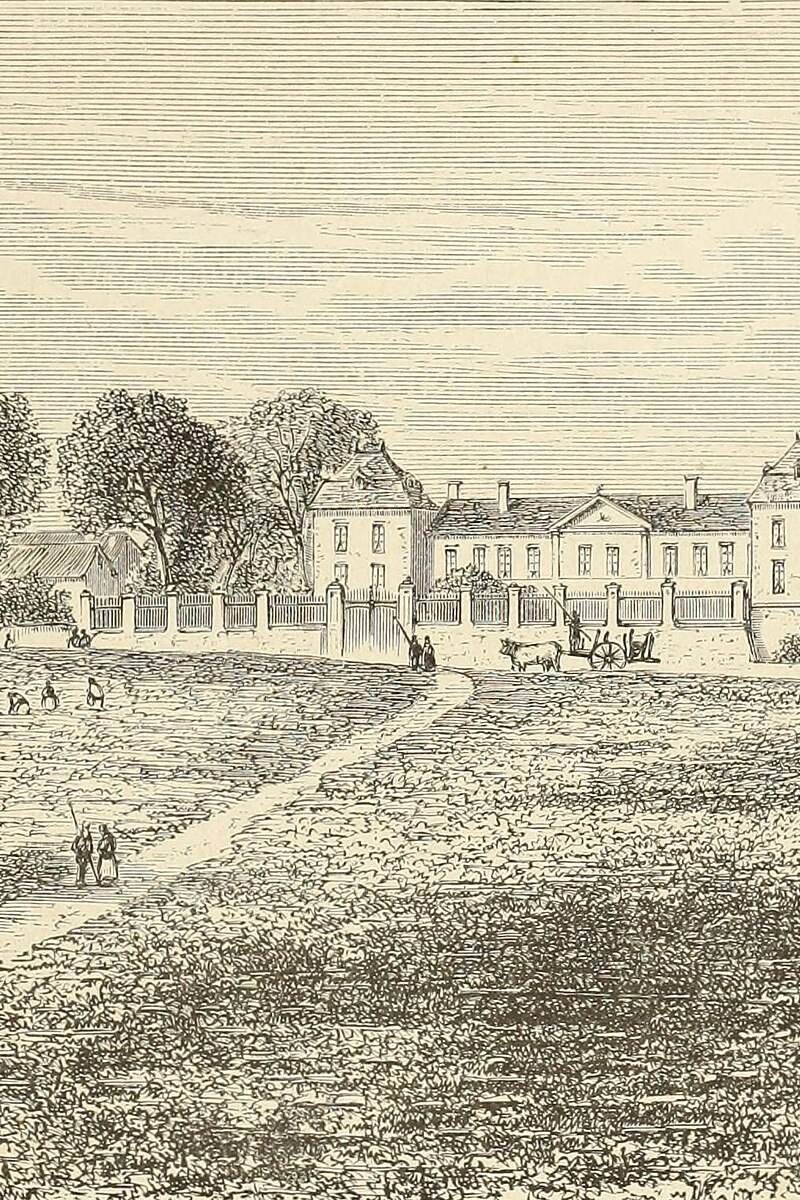 Château Calon-Ségur - Saint-Estèphe