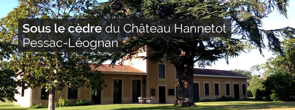 Château Hannetot - Pessac-Léognan