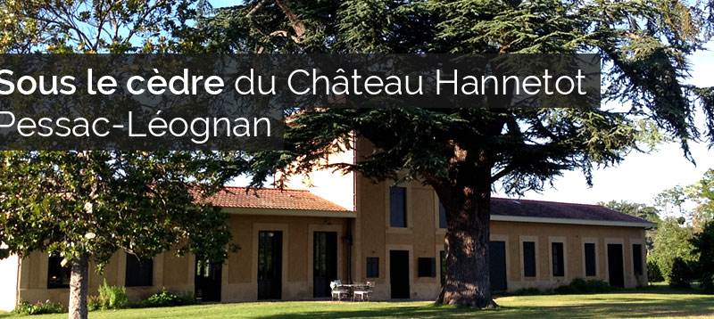 Sous le cèdre - Château Hannetot